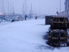 DSC_0012.JPG