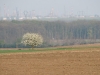 fa01.jpg