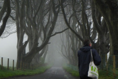 thedarkhedges