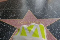 usa_hollywood