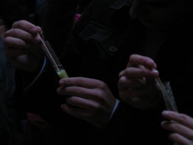 lead lead
