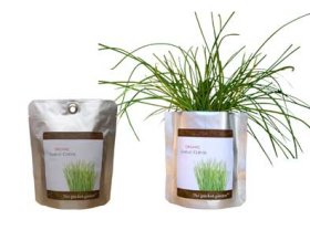 fotó: http://www.thepocketgarden.com/ zsebkert5