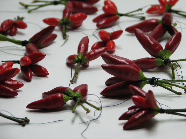 fotó: Myreille chili01