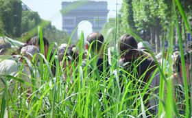 champselysee champselysee
