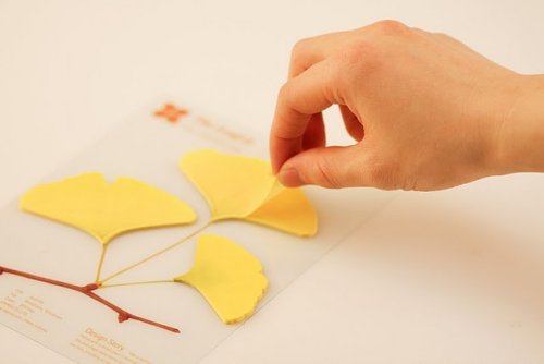 leaf_appreeGinkgo 02