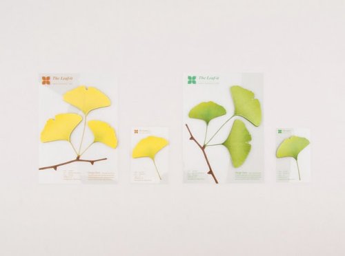 leaf_appreeGinkgo 04