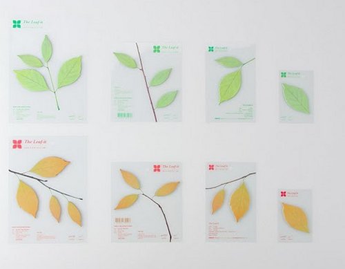 leaf_appreeGinkgo 05