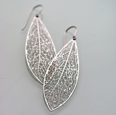 leaf_xylem01