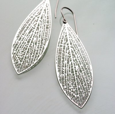 leaf_xylem03