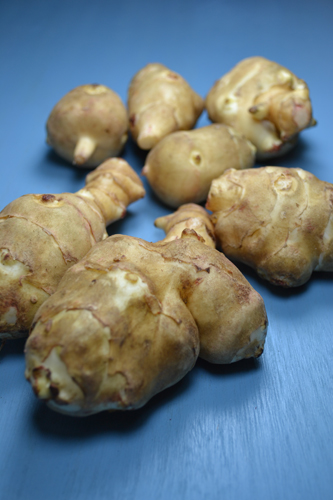 csicsoka02