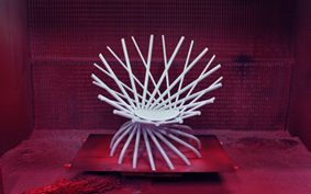 nest01 nest01