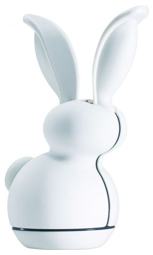 rabbit06