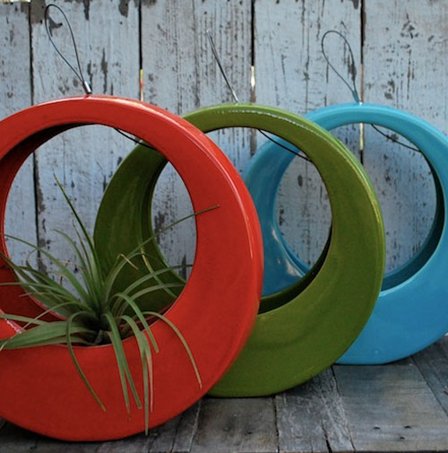 circlepot_potted06