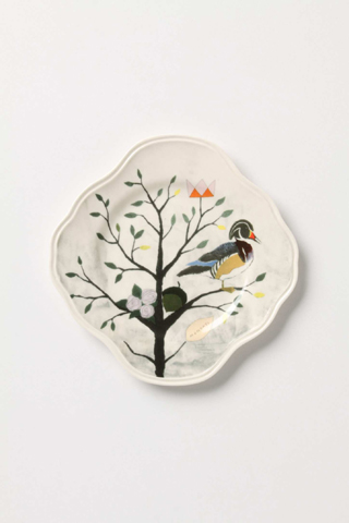 curiousdecidous05
