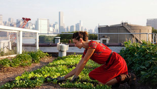 rooftopfarms01