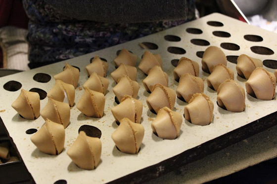 fortune-cookies5