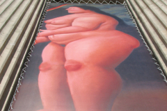 botero50