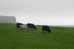 doolin02