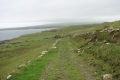 doolin08