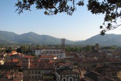 lucca03