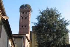 lucca07