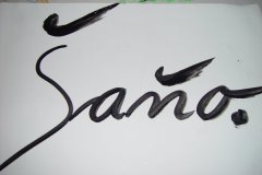 sano10