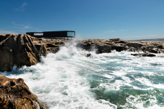 saunders_fogoisland10