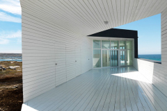 saunders_fogoisland14