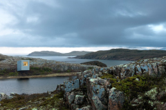 saunders_fogoisland15