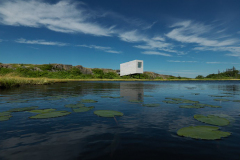 saunders_fogoisland16