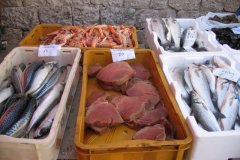 trogir_market04