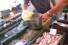 trogir_market05