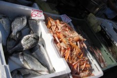 trogir_market07