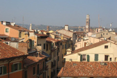 verona006