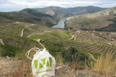 09-23-p-douro-volgy-2