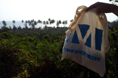 20130323_anjuana-beach-goa-india