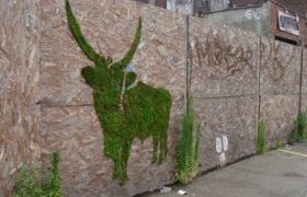 Zöld graffiti