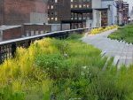 High Line, reloaded