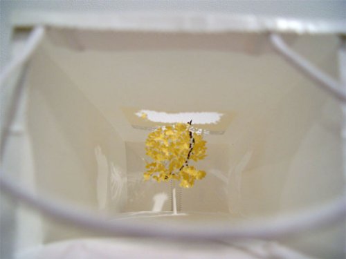 fotó: http://www.saatchi-gallery.co.uk/artists/yuken_teruya.htm yuken3_teruya_chandon