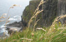 Cliffs of Moher