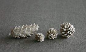 pinecones