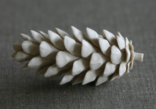 pinecones1