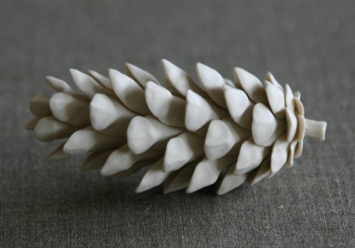 fotó: http://coeandwaito.com pinecones1