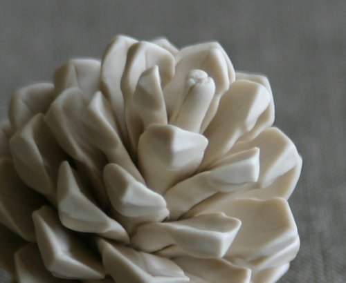 fotó: http://coeandwaito.com pinecones3