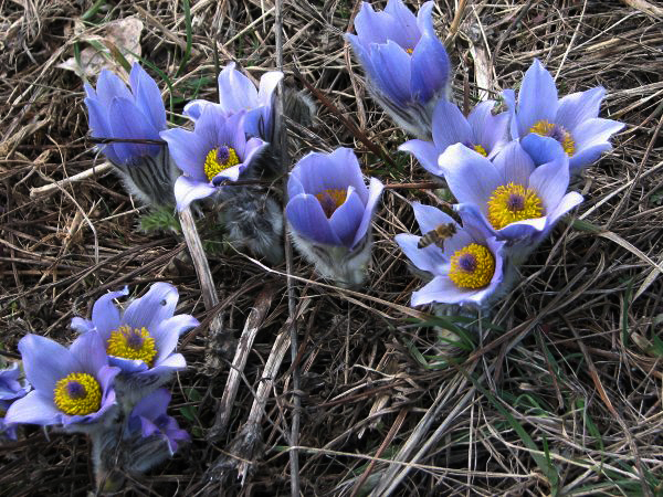 fotó: Myreille