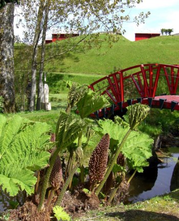 fotó: http://www.gardensofscotland.org