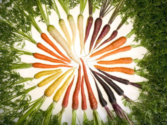 http://www.wallpaperweb.org