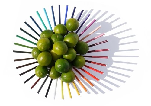 fotó: http://www.michielcornelissen.com