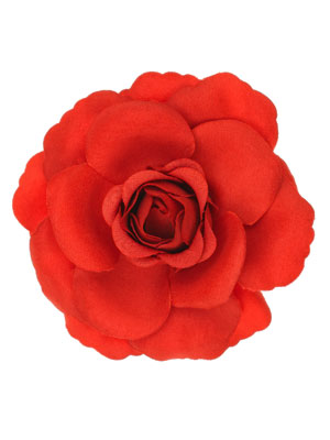 monsoon_rose01