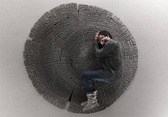 treeringcarpet02
